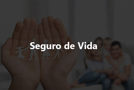 Seguro de vida